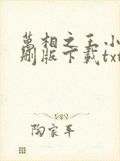 万相之王小说未删版下载txt