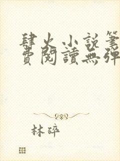 肆火小说笔趣免费阅读无弹窗