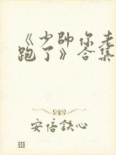 《少帅你老婆又跑了》合集