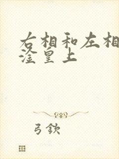 右相和左相一起淦皇上