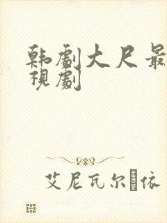 韩剧大尺最火电视剧