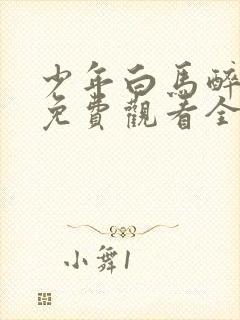 少年白马醉春风免费观看全集40集