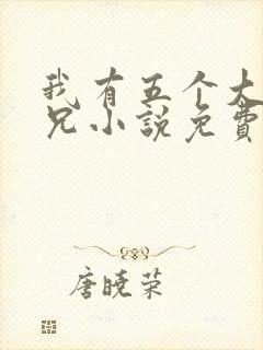 我有五个大佬师兄小说免费看