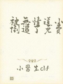 被无情道小师弟倒追了免费阅读全文封面