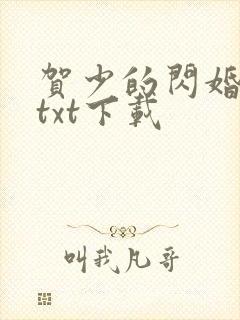 贺少的闪婚暖妻txt下载