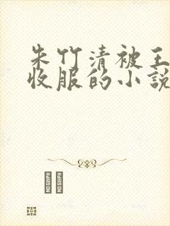 朱竹清被王二狗收服的小说