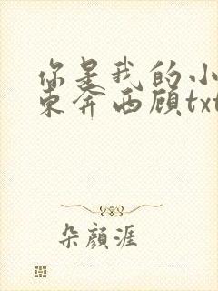 你是我的小确幸东奔西顾txt