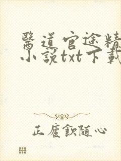 医道官途精校版小说txt下载封面