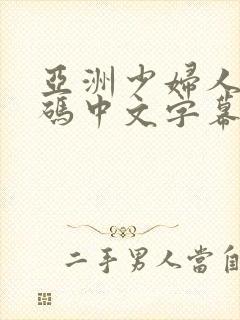 亚洲少妇人妻乱码中文字幕