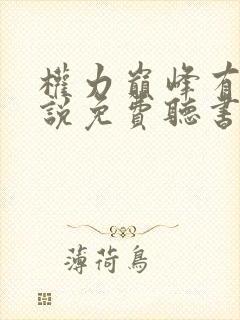 权力巅峰有声小说免费听书