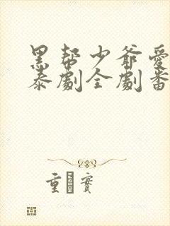 黑帮少爷爱上我泰剧全剧番外