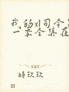 我的xl司令第一季全集在线观看完整版封面