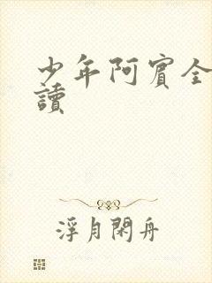 少年阿宾全集阅读