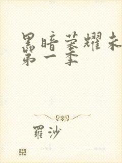 黑暗荣耀未删减第一季