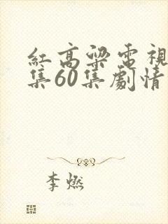 红高粱电视剧全集60集剧情