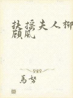 扶摇夫人柳真真顾风封面