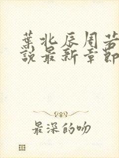 叶北辰周若妤小说最新章节封面