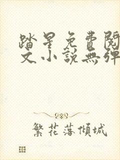 踏星免费阅读全文小说无弹窗