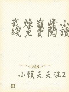 武炼巅峰小说在线免费阅读