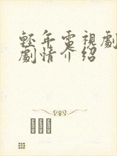 轻年电视剧分集剧情介绍