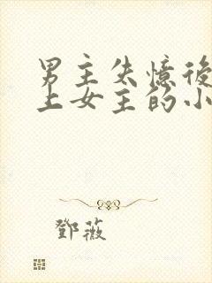 男主失忆后又爱上女主的小说