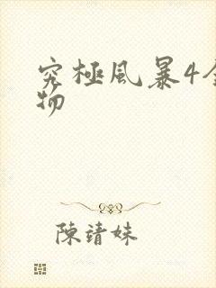 究极风暴4全人物