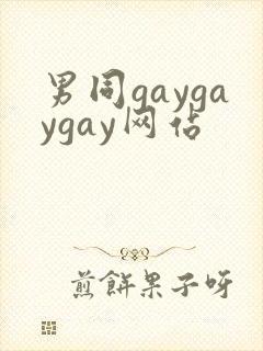 男同gaygaygay网站封面