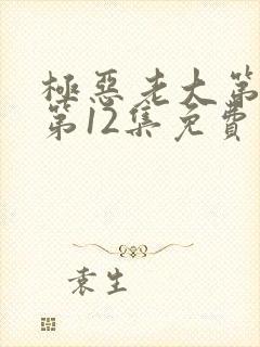 极恶老大第二季第12集免费观看