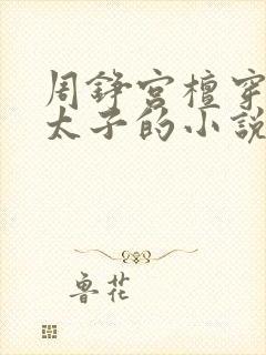 周铮宫檀穿越成太子的小说