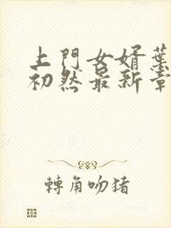 上门女婿叶辰萧初然最新章节免费阅读书