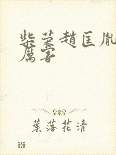 柴荣赵匡胤谁更厉害