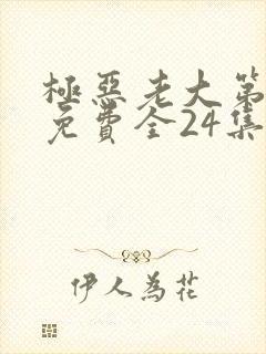 极恶老大第3季免费全24集封面