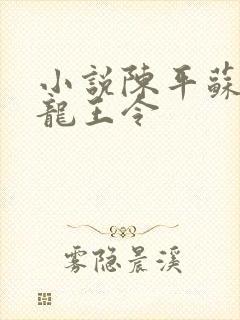 小说陈平苏雨琪龙王令