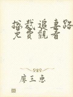 总裁追妻路漫漫免费观看