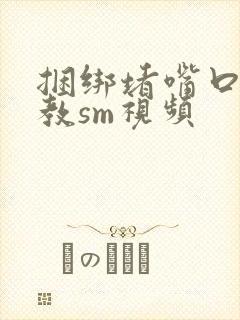 捆绑堵嘴口球调教sm视频