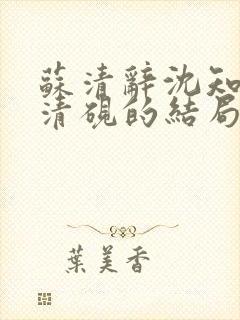 苏清辞沈知夏林清砚的结局是什么封面