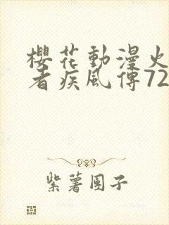 樱花动漫火影忍者疾风传720封面