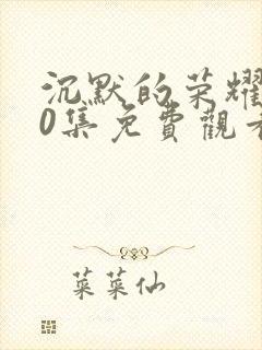 沉默的荣耀第40集免费观看