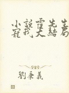 小说霍先生乖乖宠我大结局