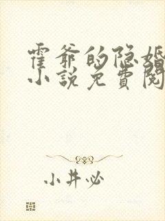 霍爷的隐婚暖妻小说免费阅读