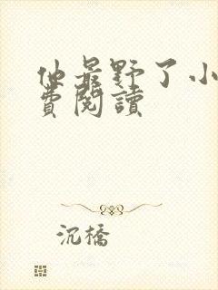 他最野了小说免费阅读