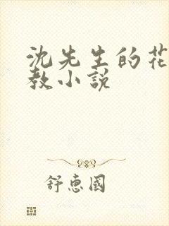 沈先生的花式管教小说