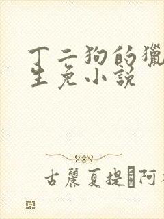 丁二狗的猎艳人生免小说