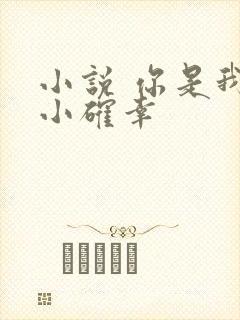 小说 你是我的小确幸