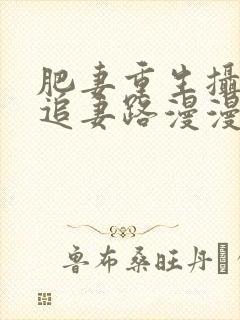 肥妻重生摄政王追妻路漫漫短剧封面