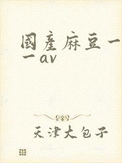 国产麻豆一精品一av