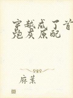 穿越成了首辅的炮灰原配