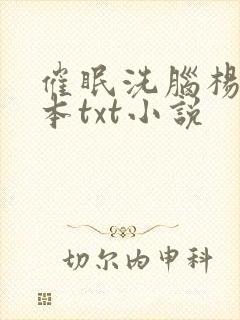 催眠洗脑杨家全本txt小说