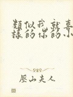 类似我就喜欢这样的你的小说封面