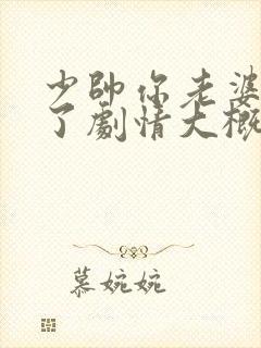 少帅你老婆又跑了剧情大概